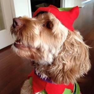 Meet your Posher, Tania